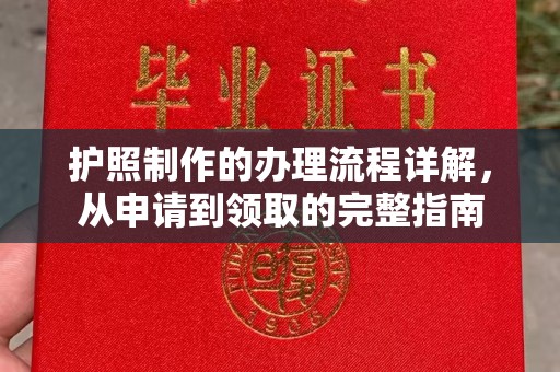 普定护照制作的办理流程详解，从申请到领取的完整指南